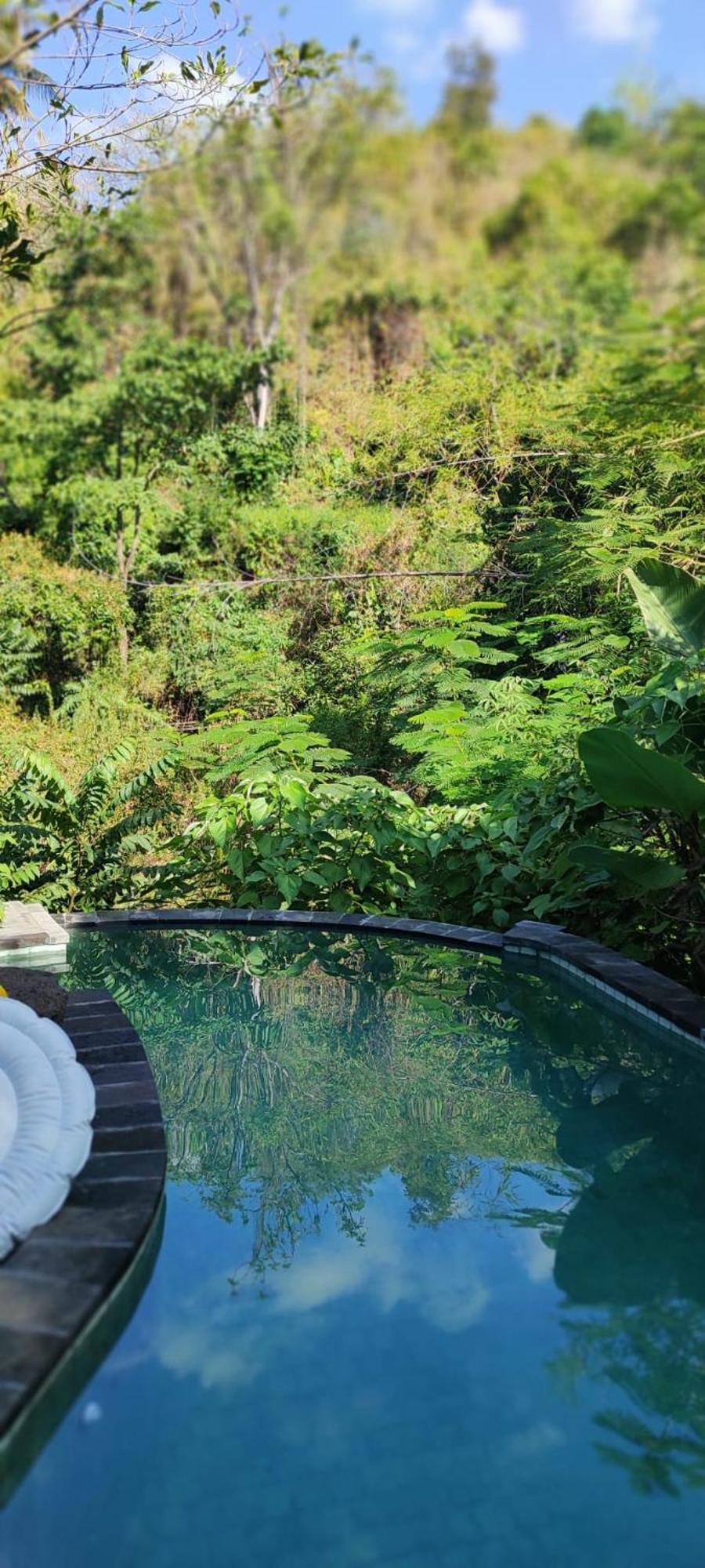 Les Garden Villa Tejakula Eksteriør billede